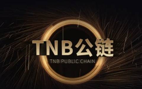 区块链中的冗余(区块链中的重复性问题)