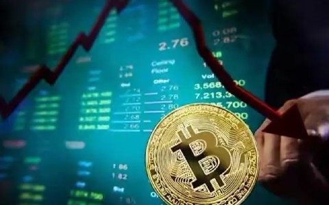 浙江综艺派币_浙江综艺派币：魅力虚拟货币
