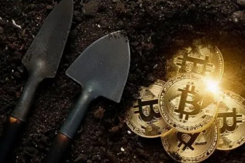 2024年最可能暴涨的东西_数字世界的“黄金”：未来加密资产的新趋势
