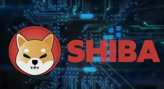 支持pi的交易所(Pi可交易的交所)