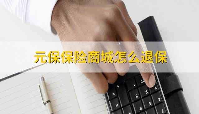 元保保险商城怎么退保说明时候到账详解