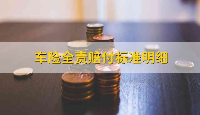 车险全责的赔付标准是什么详解