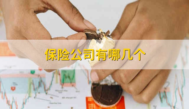 保险公司有哪些 口碑好的保险公司二十大排名