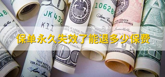 保单永久失效了能退多少保费，保单的现金价值