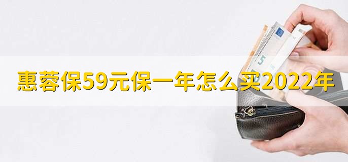 惠蓉保59元保一年怎么买2022年，成都蓉惠保如何报销