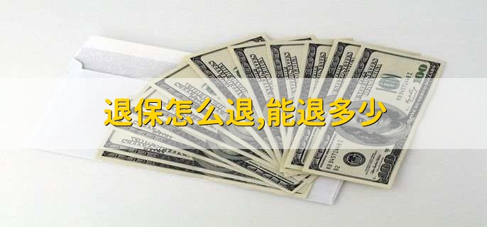 退保怎么退，能退多少