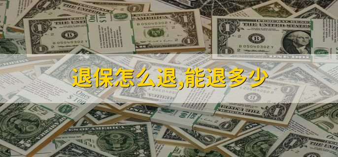 退保怎么退，能退多少