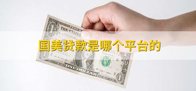 国美贷款是哪个平台的，国美金融