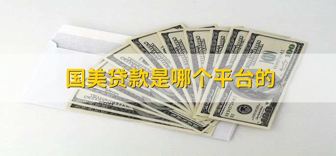国美贷款是哪个平台的，国美金融