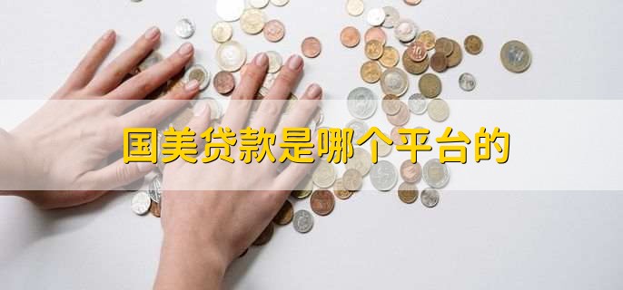 国美贷款是哪个平台的，国美金融