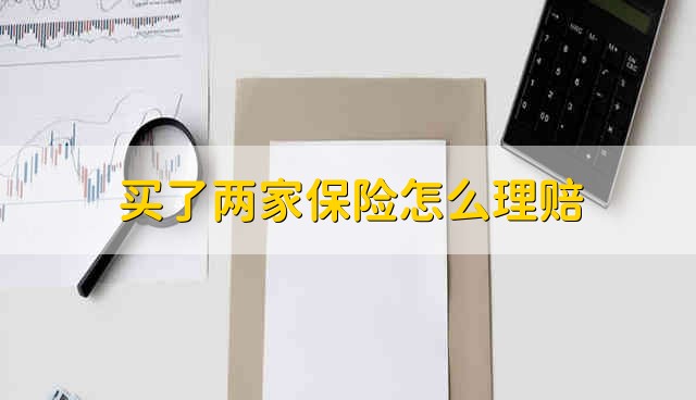 买了两家保险公司的保险能报几家能报两份吗详解