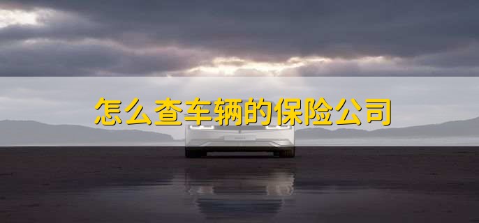 怎么查车辆的保险公司，有以下四种办法
