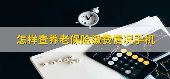怎样查养老保险缴费情况手机