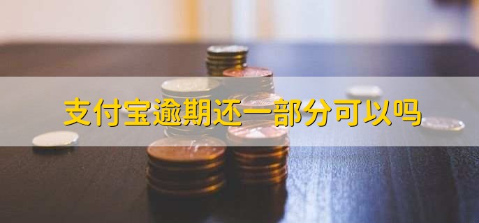 支付宝逾期拿不出那么多还一部分可以吗，不可以