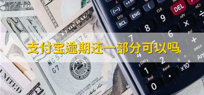 支付宝逾期拿不出那么多还一部分可以吗，不可以
