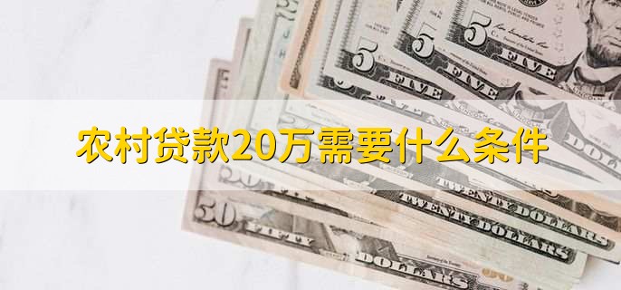 农村贷款20万需要什么条件 农村贷款20万需要什么条件