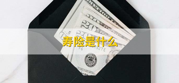 寿险是什么,人寿保险 寿险是什么,人寿保险