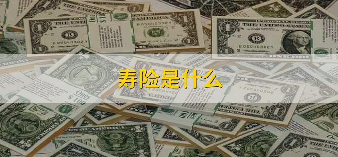 寿险是什么,人寿保险 寿险是什么,人寿保险
