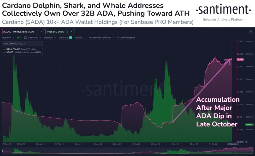 链上数据表明,随着价格上涨,Cardano 显示出显着增长