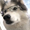 9.png