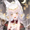 9.png
