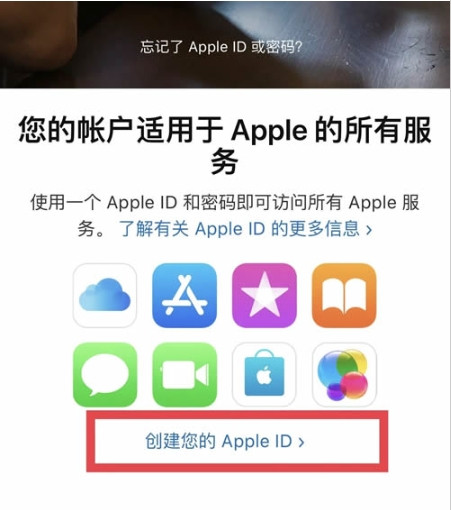 20.jpg 20.jpg