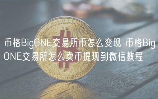 币格BigONE交易所币怎么变现_币格BigONE交易所怎么卖币提现到微信教程