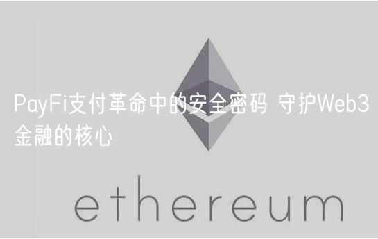 PayFi支付革命中的安全密码 守护Web3金融的核心