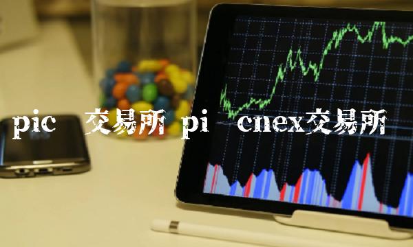 pic币交易所 pi币cnex交易所 pic币交易所 pi币cnex交易所